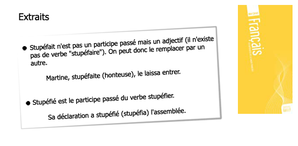 Les difficults de la langue franaise, mon carnet de franais, Bailly