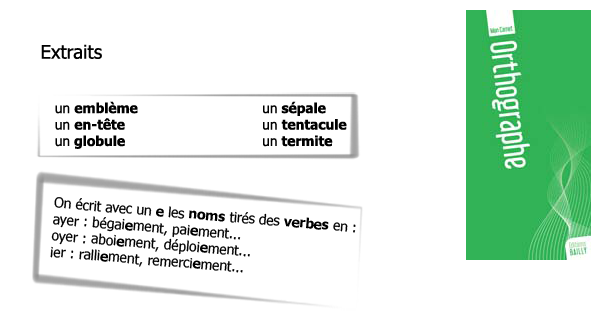 carnet d'orthographe-homonymes-prefixes